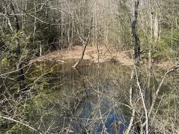 200 Red Rock Canyon Road, Graysville, TN 37338