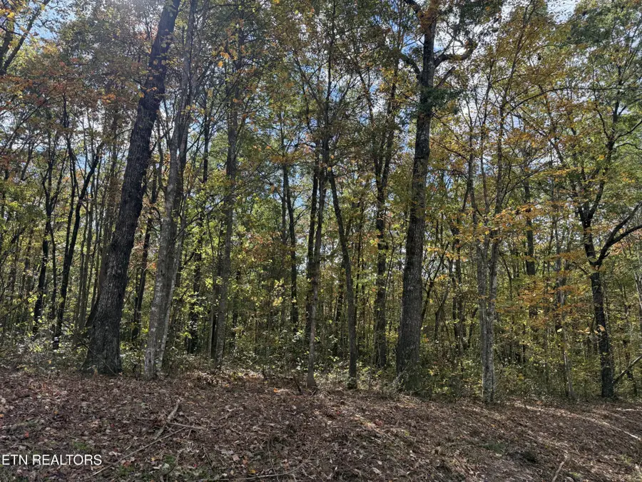 0 Picket Park Hwy Hwy, Jamestown, TN 38556 - #3