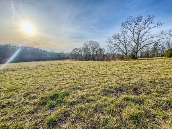 835 Mount Zion Rd, Decaturville, TN 38329