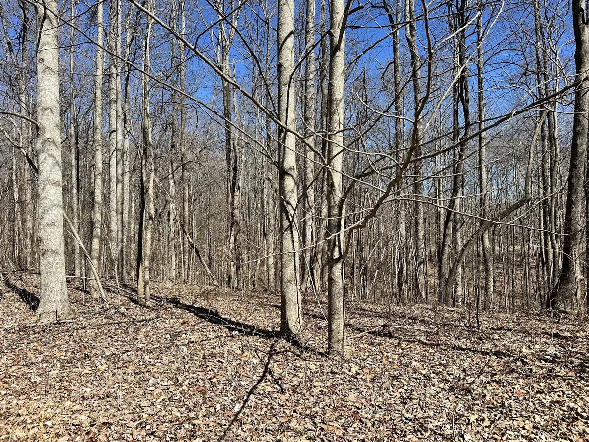 297 Tennis Center Drive, Smithville, TN 37166 - #1