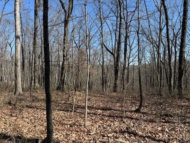 71 Sunbeam Lake Loop Road, Dunlap, TN 37327 - #2