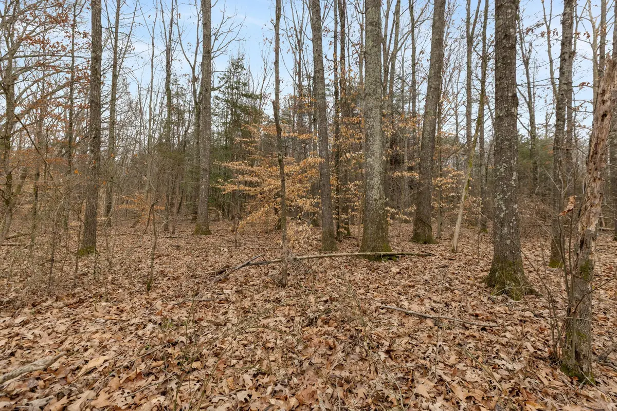 0 Gray Rd, White Bluff, TN 37187 - #1