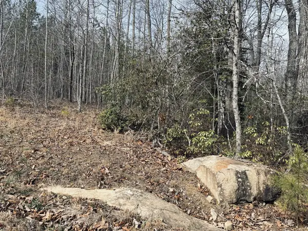 0 Raulston Falls Road, Jasper, TN 37347