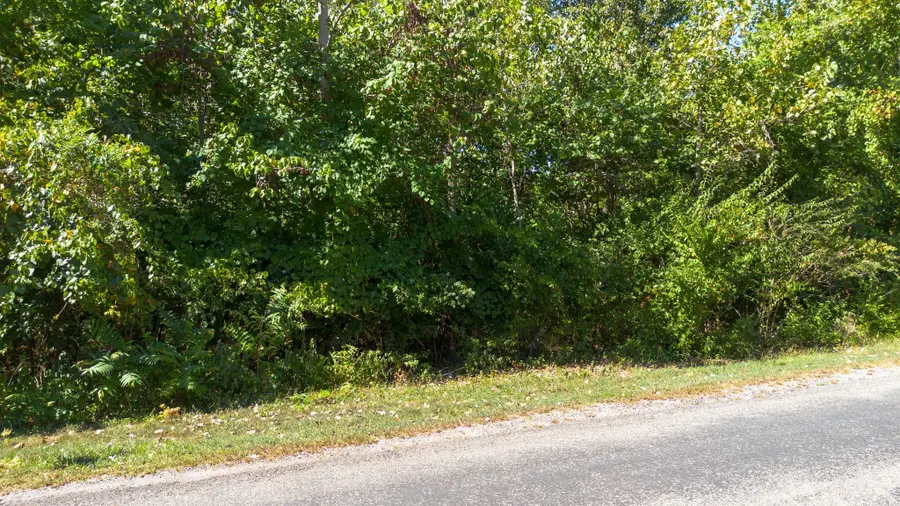 0 Savely Rd, Pegram, TN 37143 - #3