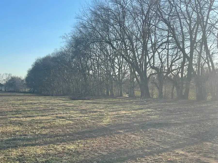 3 Old Zion Rd, Columbia, TN 38401 - #2