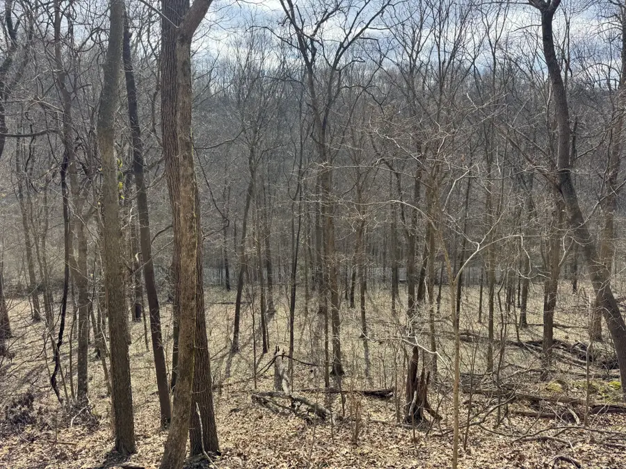 0 Lake View Drive, Smithville, TN 37166 - #2