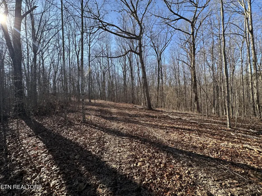 1453 Pickett Park Hwy, Jamestown, TN 38556 - #2