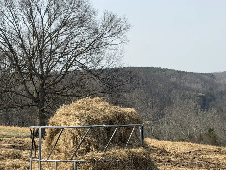 5 N Lick Creek Rd, Franklin, TN 37064 - #2