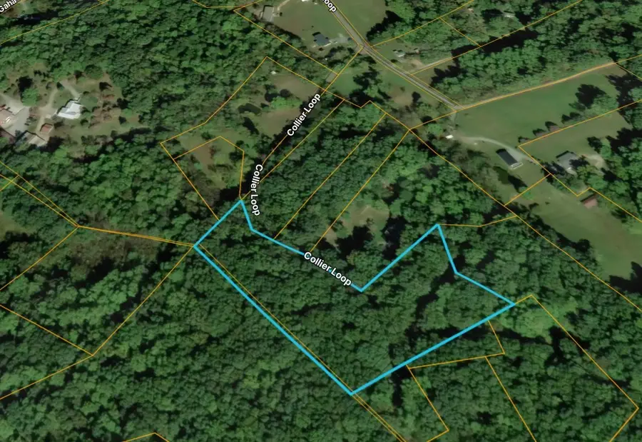 1419 Collier Loop, Dandridge, TN 37725 - #2