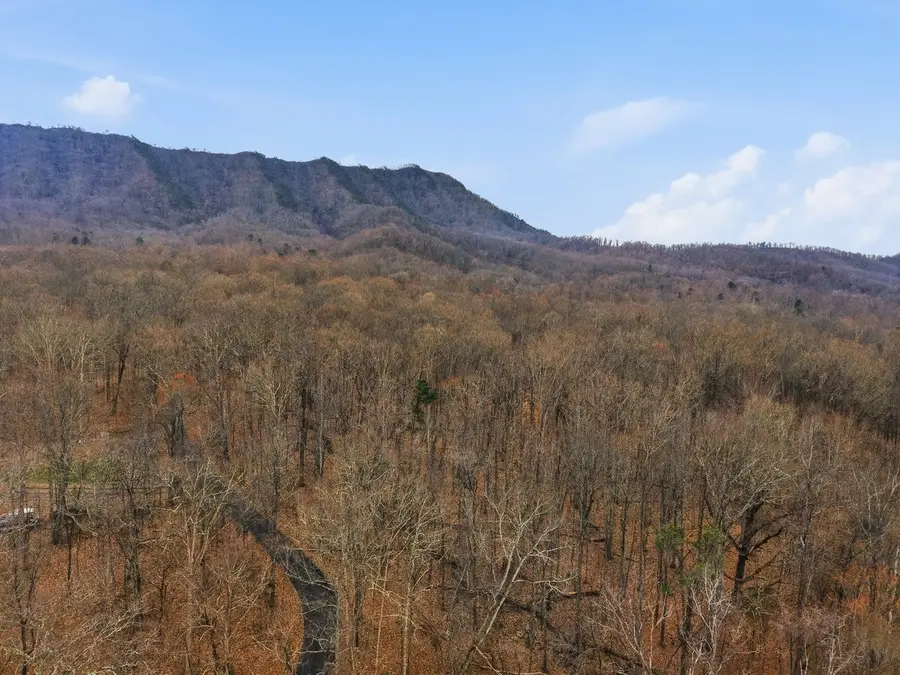 1419 Collier Loop, Dandridge, TN 37725 - #3