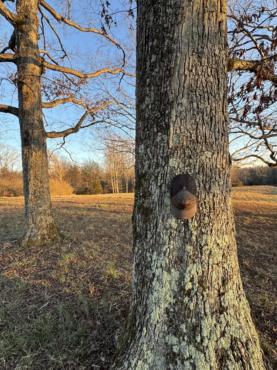 2340 Ridge Rd, Mc Ewen, TN 37101 - #3