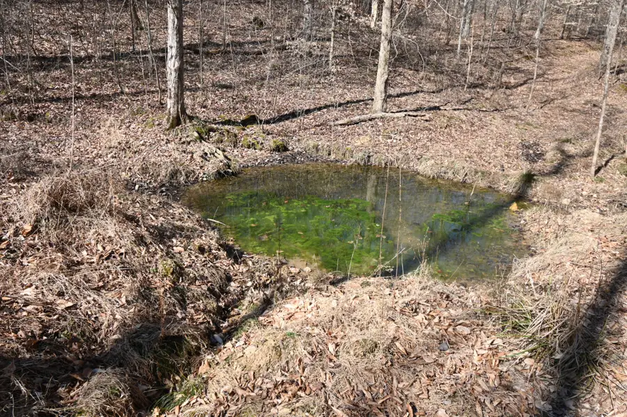 0 Highway 128, Clifton, TN 38425 - #2