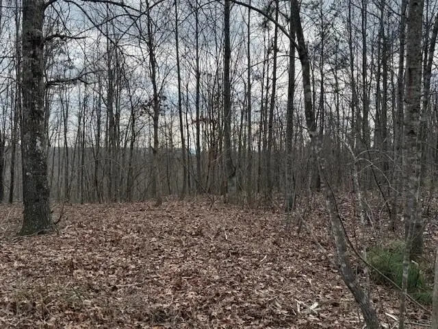 11 South Pittsburg Mountain Road, South Pittsburg, TN 37380 - #3