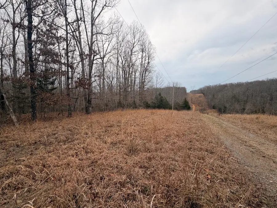 4 Blue Bird Ct, Nunnelly, TN 37137 - #3