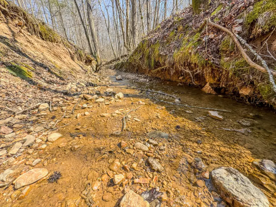 375 Roanoke Creek Rd, Collinwood, TN 38450 - #3