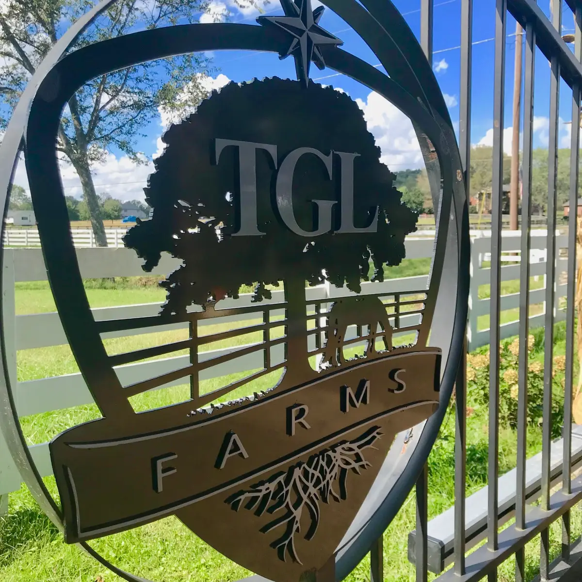 2455 Long Hollow Pike, Hendersonville, TN 37075 - #1