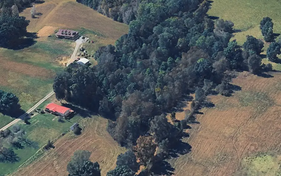 336B E Biggs Rd, Portland, TN 37148 - #3