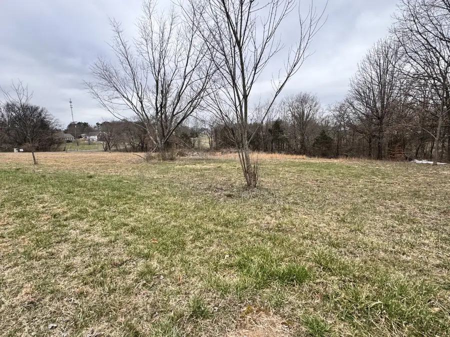 0 Pleasant Grove Road, White House, TN 37188 - #2