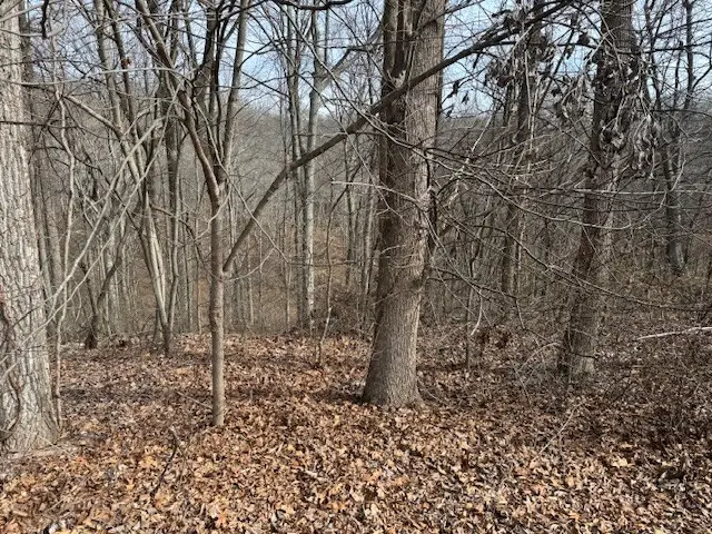 0 Wildwood, White House, TN 37188 - #2