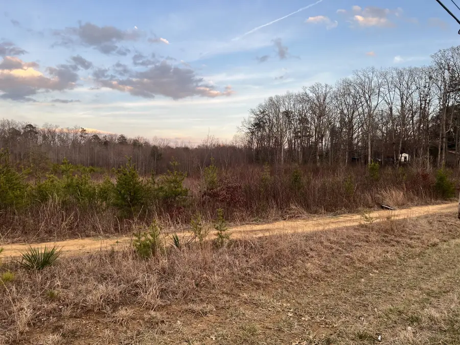 1040 Main Street, Altamont, TN 37301 - #3