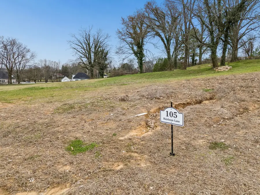 105 Heirloom Ln, Columbia, TN 38401 - #3