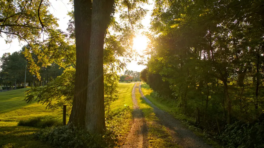 1665 Palmer Rd, Lebanon, TN 37090 - #2