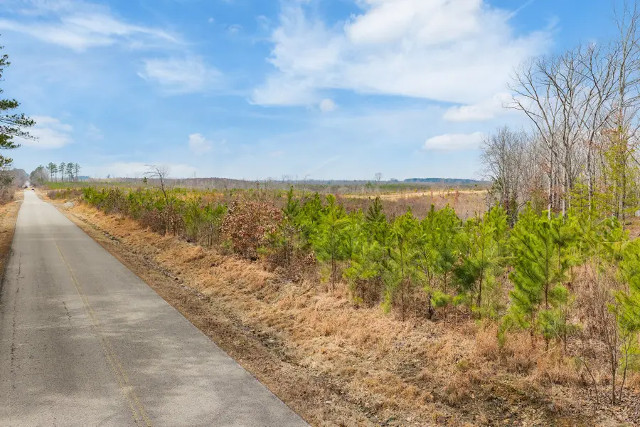 0 Rockport Mcillwain Rd, Holladay, TN 38341 - #2