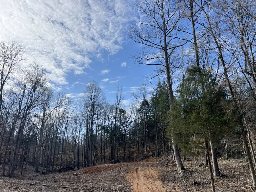0 Excalibur Trail, Cedar Grove, TN 38321 - #2