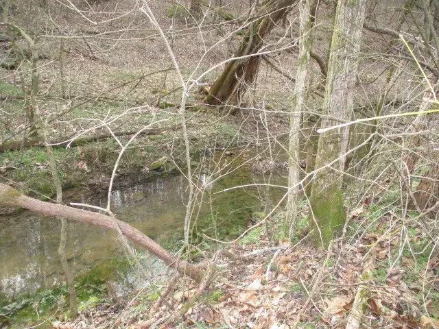 0 Rogues Fork Creek Road, Bethpage, TN 37022 - #2