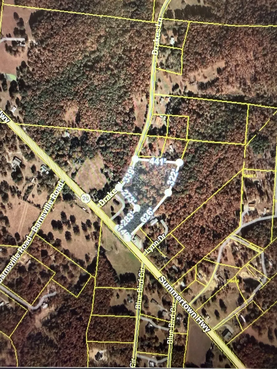 0 Drakes Ln, Summertown, TN 38483 - #2