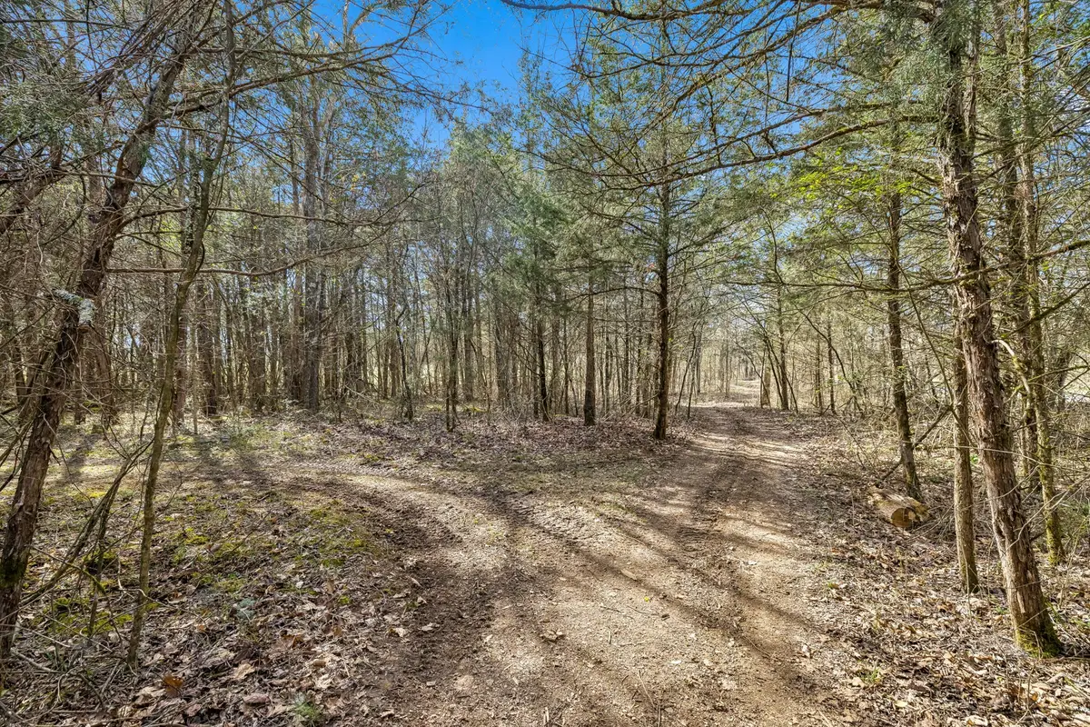 7 Paschal Rd, Unionville, TN 37180 - #1