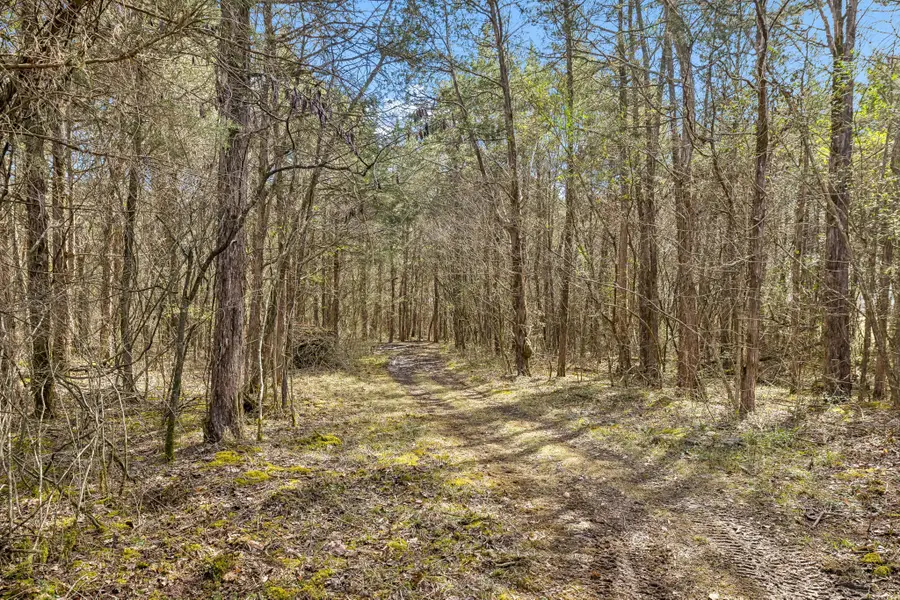 7 Paschal Rd, Unionville, TN 37180 - #2