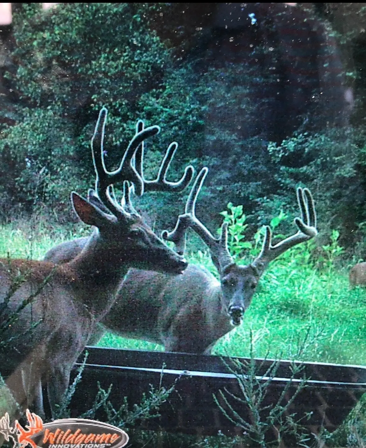 510 Rogues Fork Rd, Bethpage, TN 37022 - #1