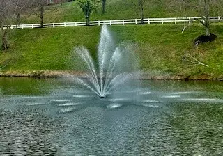 142 Ridgeview Trace, Hendersonville, TN 37075 - #3