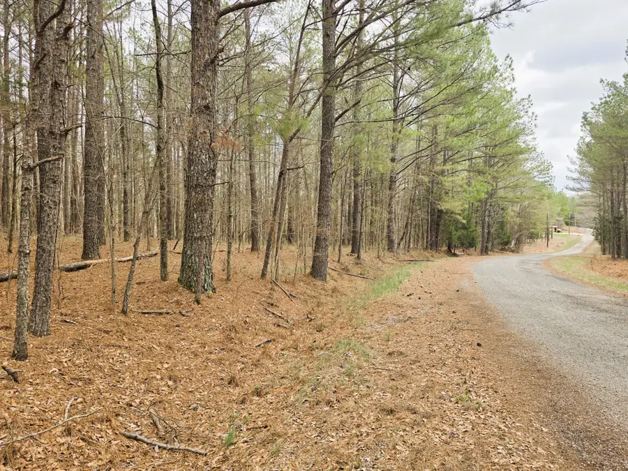 0 Zig Zag Rd, Big Sandy, TN 38221 - #2