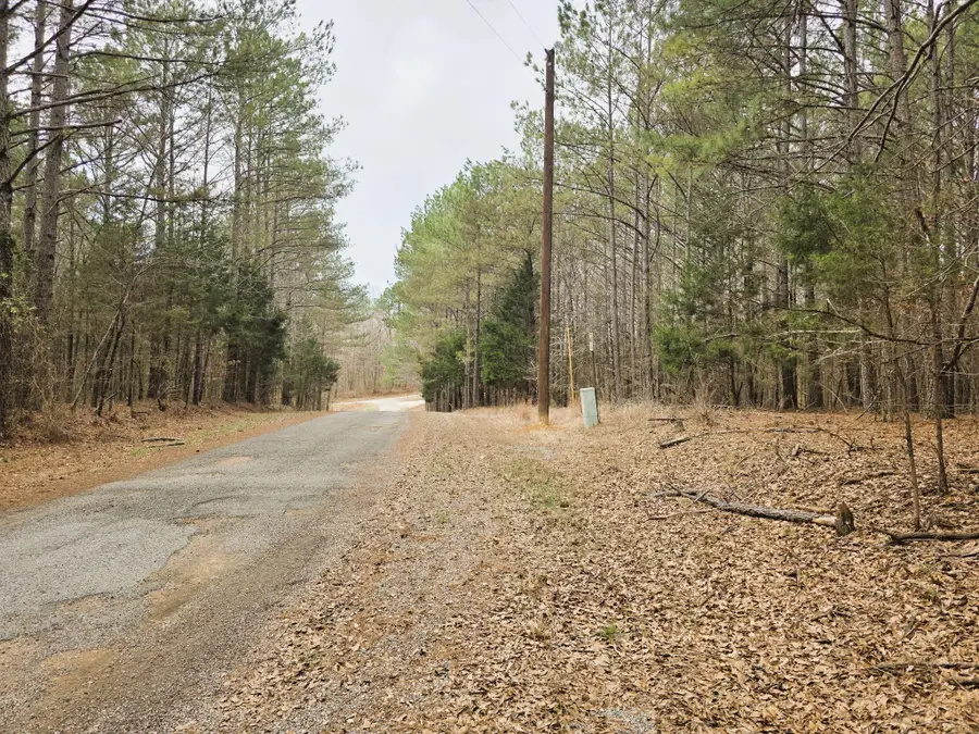 0 Zig Zag Rd, Big Sandy, TN 38221 - #3
