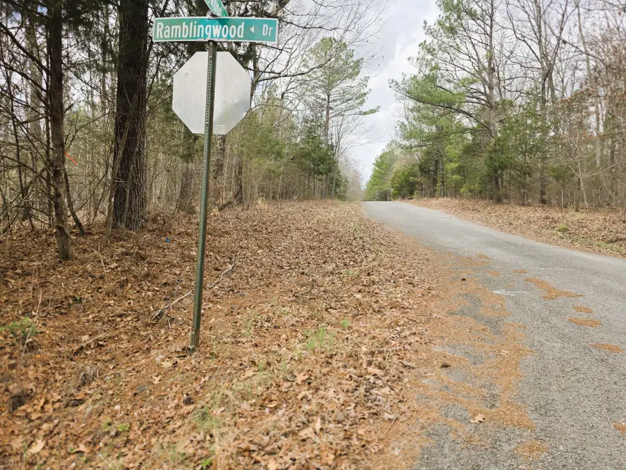 0 Ramblingwood Dr, Big Sandy, TN 38221 - #3