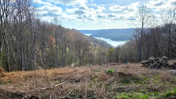 109 Deer Path Ct, Smithville, TN 37166