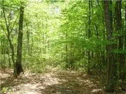 0 Boulder Lake Rd, Coalmont, TN 37313 - #2