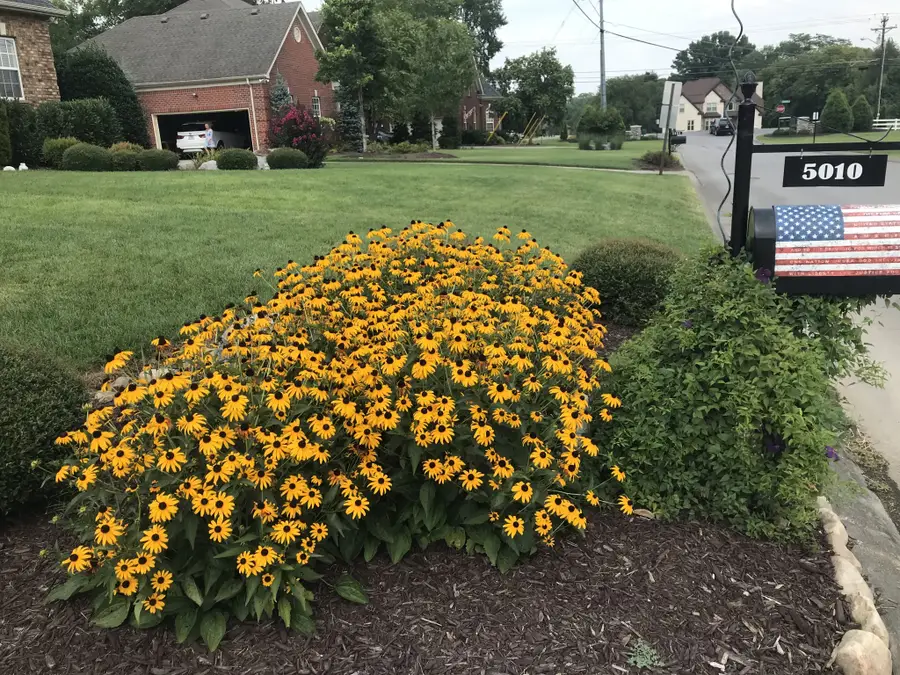 5010 Stonewood Dr, Smyrna, TN 37167 - #3