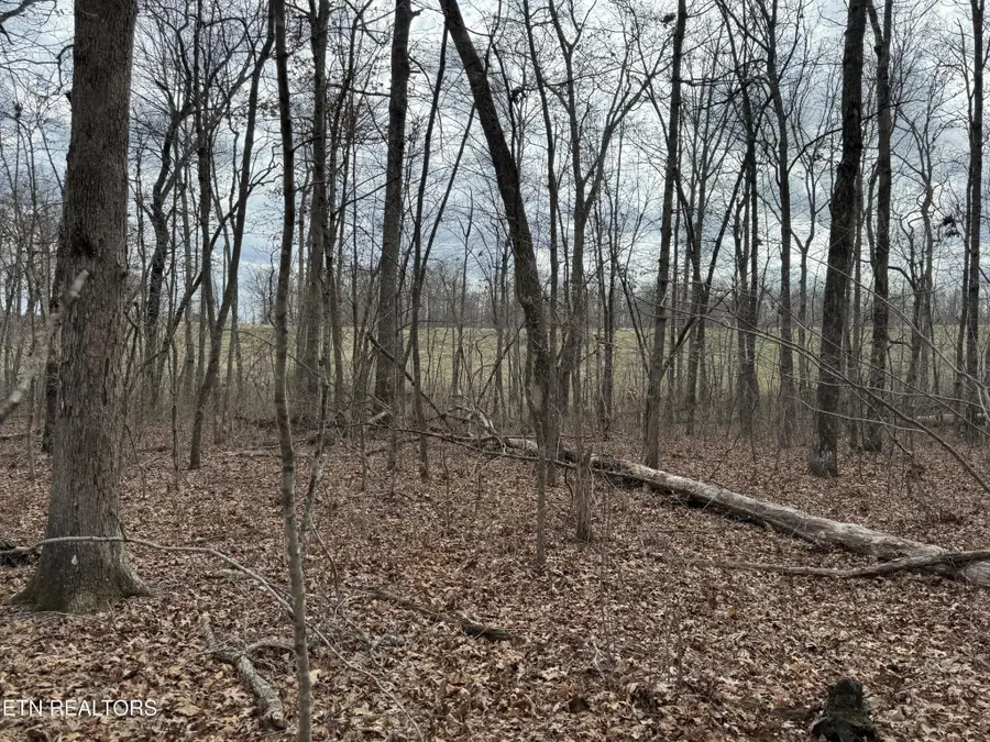 1261 Roanoke Rd, Jamestown, TN 38556 - #2