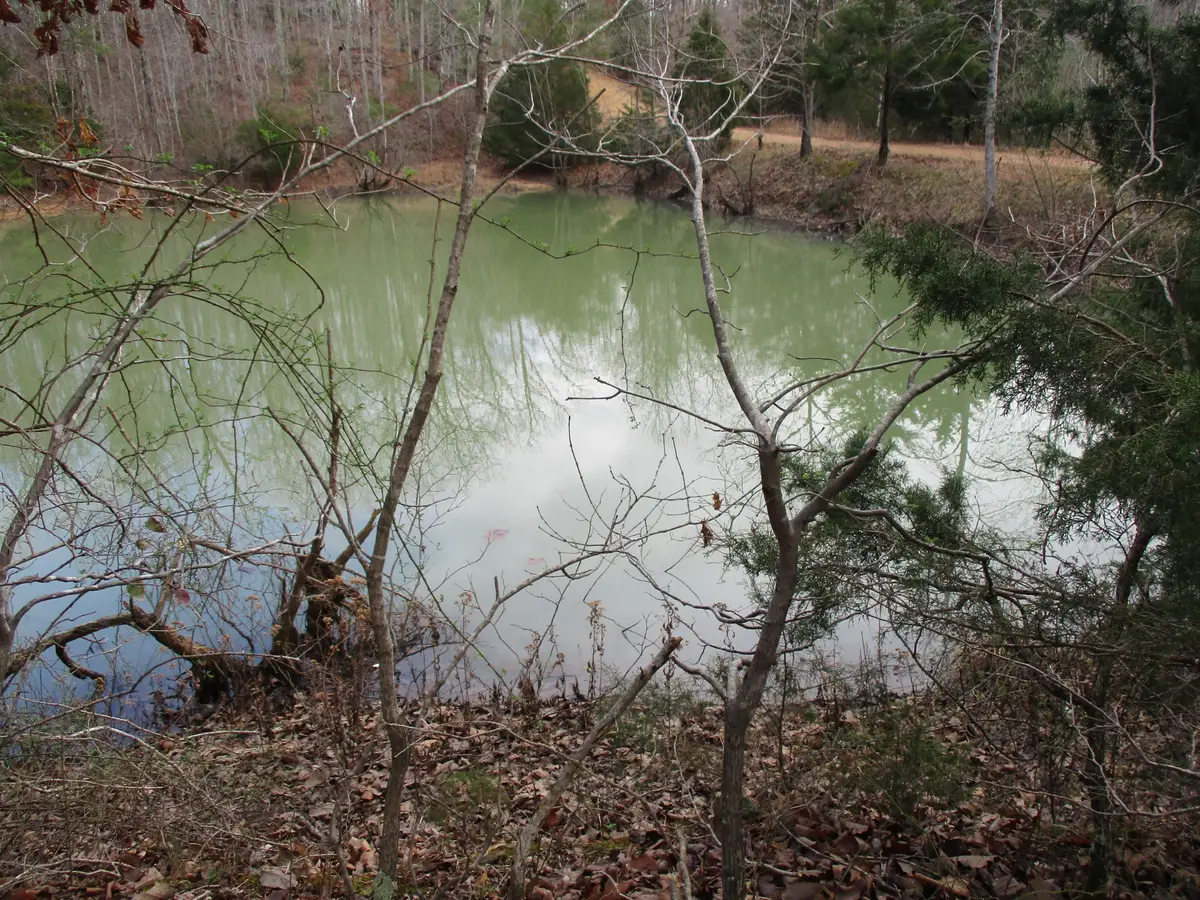 0 Split Lake Drive, Nunnelly, TN 37137 - #1