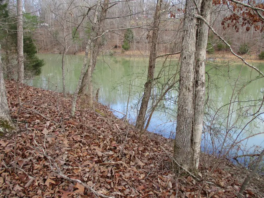 0 Split Lake Drive, Nunnelly, TN 37137 - #3