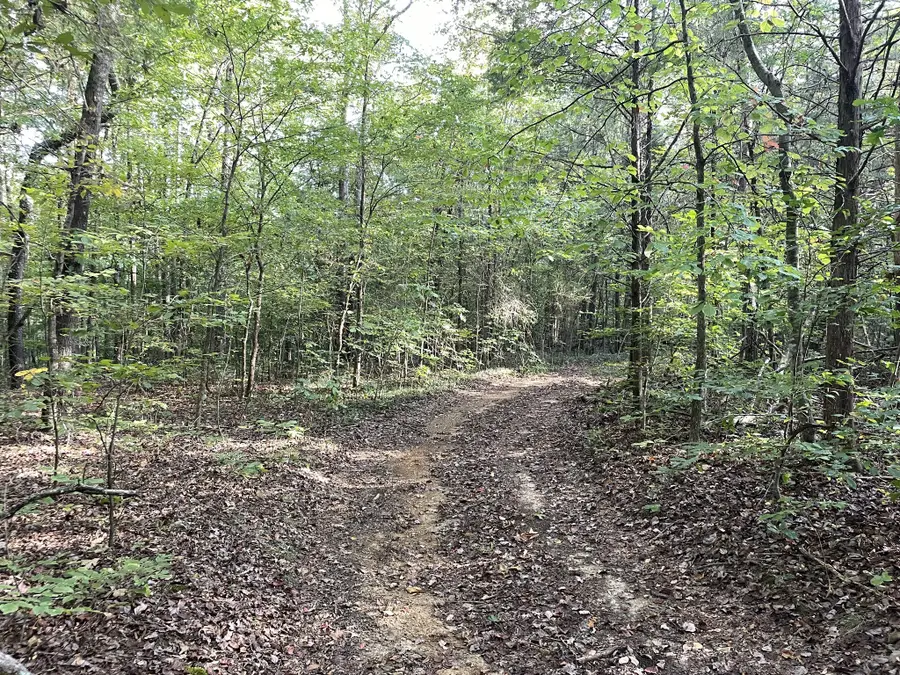 0 Waters Road, Centerville, TN 37033 - #3