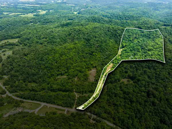 0 Preacher Holt Rd, Mount Pleasant, TN 38474