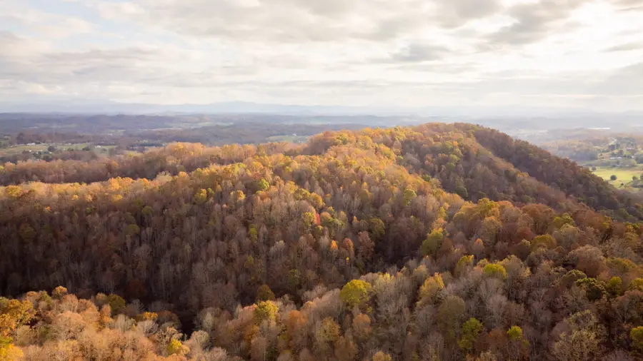 544 Ethel Beard Rd, Blountville, TN 37617 - #3