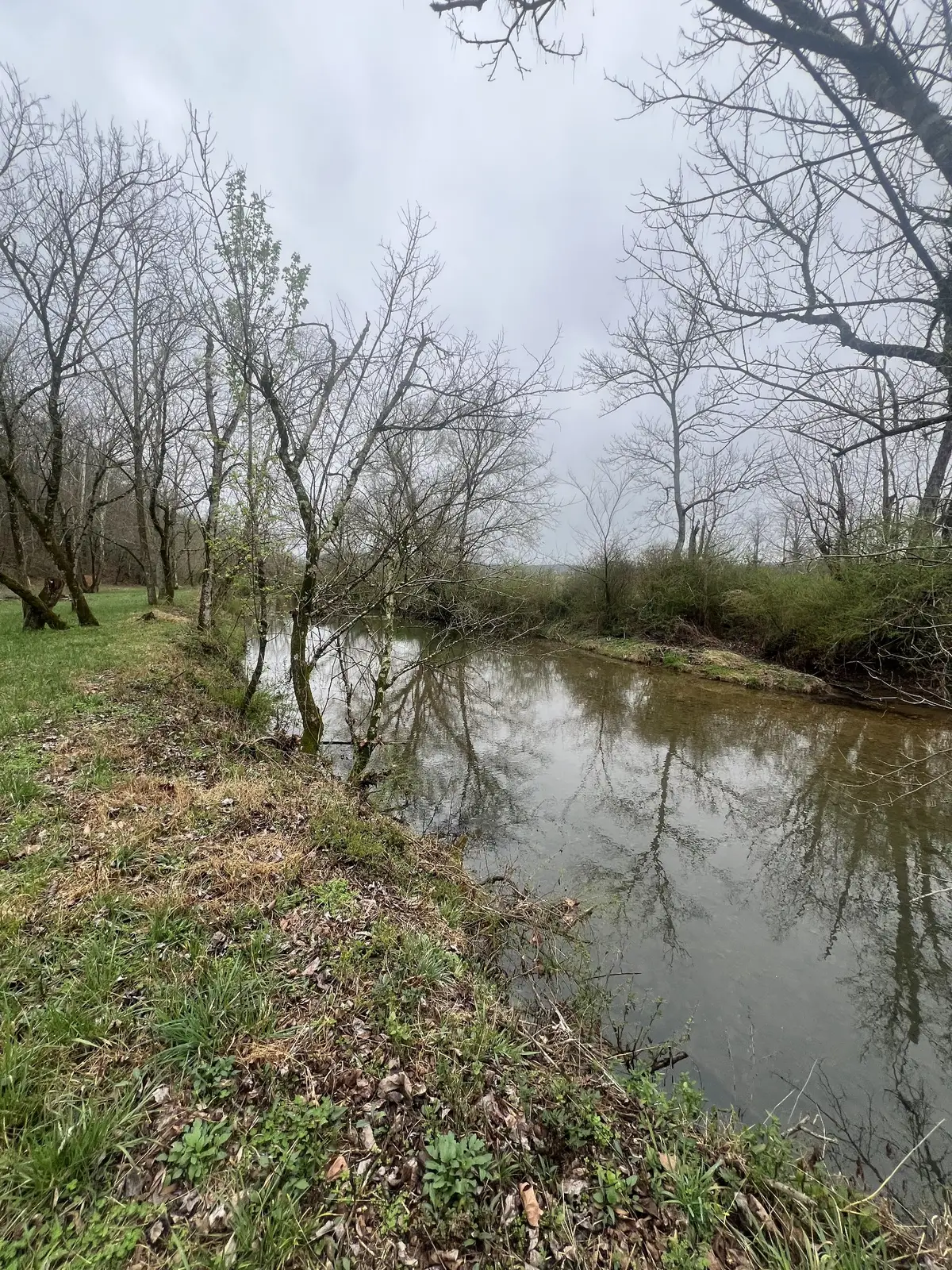 0 Dibrell Lucky Rd, McMinnville, TN 37110 - #1