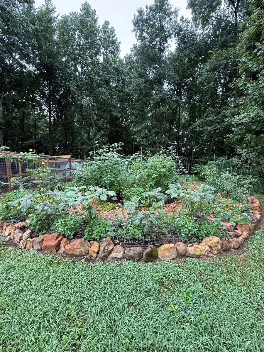 2675 Mockingbird Hill Rd, Palmyra, TN 37142 - #3