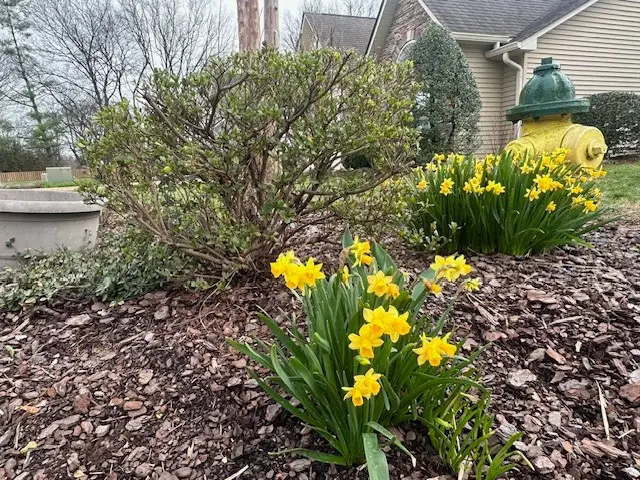 5000 Lancelot Ct, Columbia, TN 38401 - #3