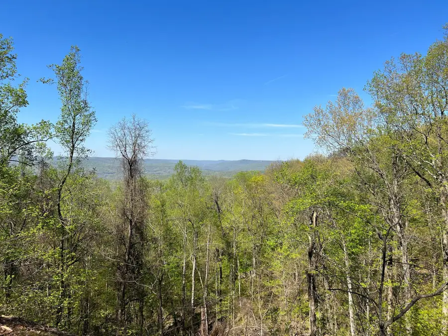 0 Saddleback Drive, Dover, TN 37058 - #3